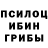 Псилоцибиновые грибы MAGIC MUSHROOMS lalalaopw