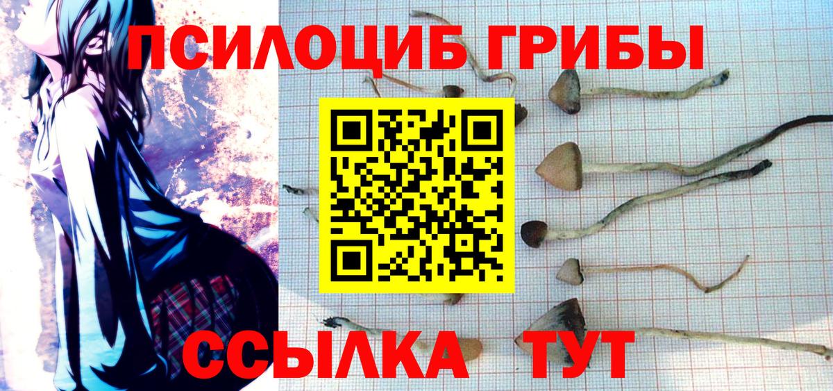 Псилоцибиновые грибы Cubensis Выкса
