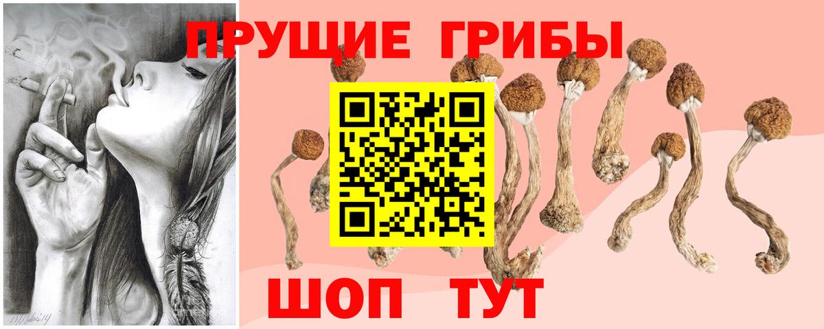 Псилоцибиновые грибы GOLDEN TEACHER  Вход с VPN  Выкса 